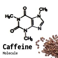 Caffeine Molecule 3D Printer Model