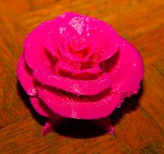 Rose On Edelweiss In Pink 3D Printer Model