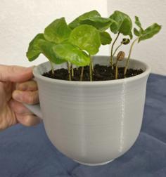 Coffee Cup Planter 3D Printer Model