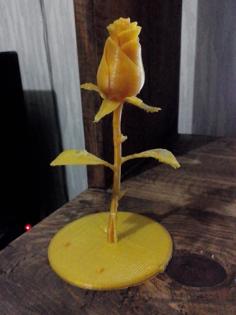 Rose With Circular Base 3D Printer Model