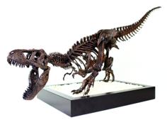 T-Rex Skeleton – Leo Burton Mount 3D Printer Model