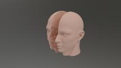 Nose Teaching Aids 3D Printer Model