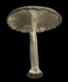 Mushroom 3D Printer Model