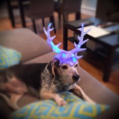 Christmas Antlers 3D Printer Model