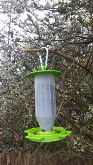 Wild Finch Bird Feeder 3D Printer Model