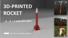 THE ROCKET 3D Printer Model