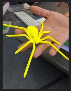 Spider 3D Printer Model