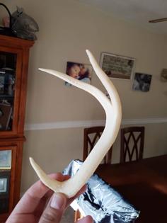 Antlers Remix 3D Printer Model