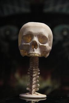 Skullcup 3D Printer Model