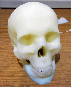 Skull 3D Printer Model