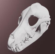 Grey Wolf Skull Mask 3D Printer Model