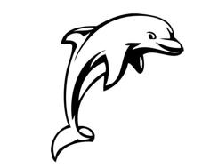 Dolphin Wall Art 1.0 3D Printer Model