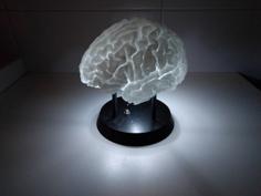 LED-Lit Brain With Battery Holder 3D Printer Model