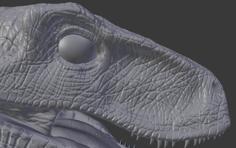 Jurassic Park Velociraptor Head 3D Printer Model