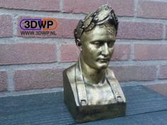 Napoleon Bust 3D Scan 3D Printer Model