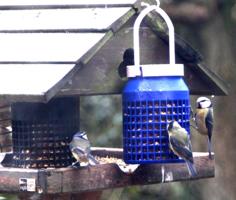 Bird Feeder 3D Printer Model