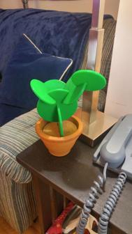 Plant Coaster Set 3D Printer Model