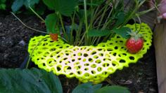 Voronoi Strawberry Protection Riser Erdbeer-Reifer Erdbeergitter 3D Printer Model