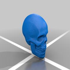 Skull With Brain 3D Printer Model