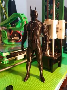 Batman Beyond (Arkham Asylum) 3D Printer Model