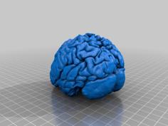 Human Brain Remix 3D Printer Model