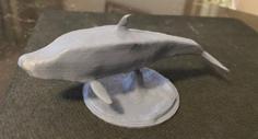 Dolphin Sculpture 3D Printer Model