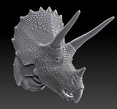 Triceratops Bust 3D Printer Model