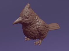 Sitting Bulbul 3D Printer Model