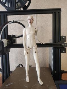 Realistic Male BJD Doll 3D Printer Model