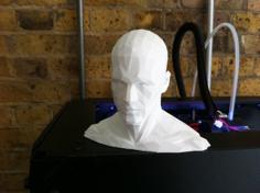 Low Poly HEAD – Remix 3D Printer Model