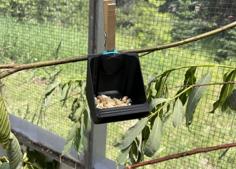 Easy Attach Bird Feeder 3D Printer Model