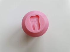 Baby Tooth Box 3D Printer Model