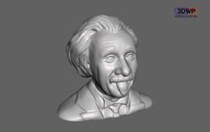 Albert Einstein Bust 3D Printer Model