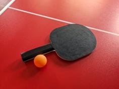 Ping Pong Paddle Fully 3D Printable 3D Printer Model