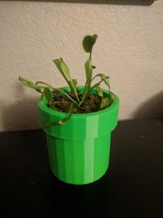 Simple Mario Venus Fly Trap Planter 3D Printer Model