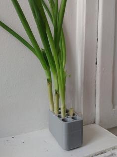 Shallot Regrower 3D Printer Model