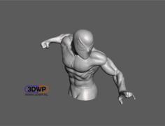 Spider-Man 3D Scan 3D Printer Model