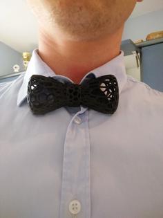 Voronoi Bow Tie 3D Printer Model