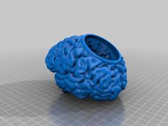 Brain Desk Planter 3D Printer Model