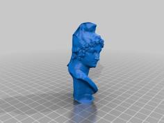 Bust Of Paris 3D Printer Model