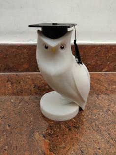 Owl With A Square Academic Cap 3D Printer Model