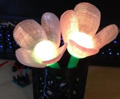 Glowing Flowers 3D Printer Model