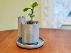 Planttlement – Castle Planter With Moat, For Succulents 3D Printer Model