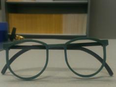 Round And Thin Glasses/ Sunglasses 3D Printer Model