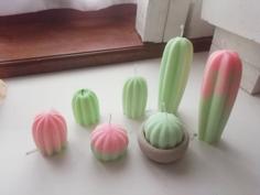 Cactus Collection For Make Candels 3D Printer Model