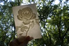 Rose More-Than-a-Lithophane 3D Printer Model