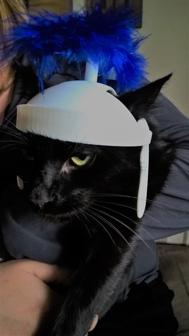 Roman Cat Helmet 3D Printer Model