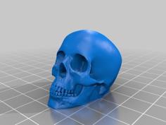 Valve Cap Skull / Bouchon De Valve Tête De Mort 3D Printer Model