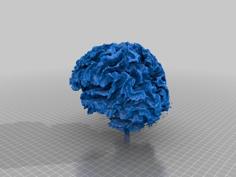 Certified Insane Person’s Brain, —Mine. 3D Printer Model