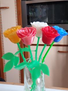 ROSE STEM And LEAVE 3D Printer Model